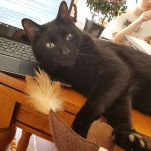 Meet your Posher, Kimberly